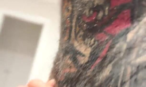 Lena The Plug Nude Standing Fuck Facial Video Leaked